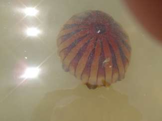DSC00622.JPG